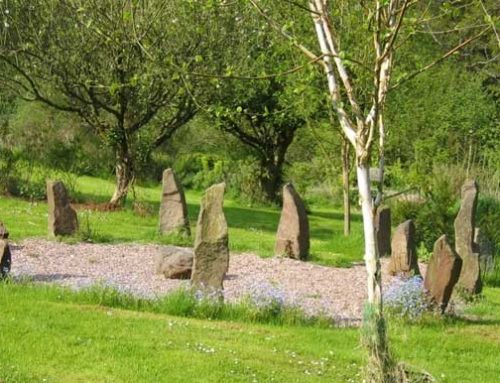 Stone Circle in the Forest of Dean